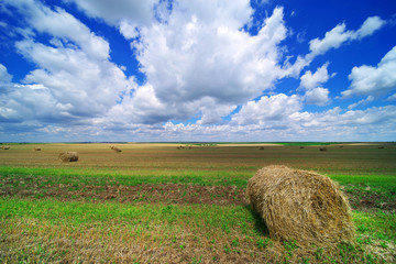 Hay bail harvesting in a summer field landscape. Agriculture field with cloudy sky - Rural nature in the farm land