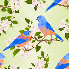 Seamless texture Bluebirds  thrush small songbirdons on an apple tree branch with flowers vintage vector illustration editable hand draw