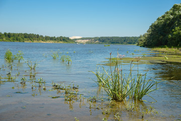 Morning on a river with fog, fishing