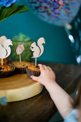 Cakes for birthday party. Decorations for holiday party. A lot of cake. 