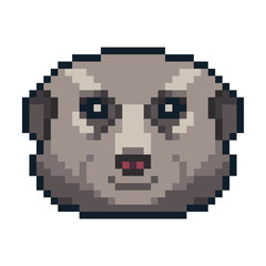 Obraz premium Pixel art vector meerkat isolated on white background.