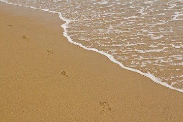 Fototapeta na wymiar Footprints on the Sand Next to a Small Foamy Wave on the Beach