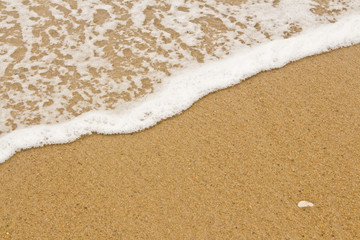Sea Foam Waves on the Beach