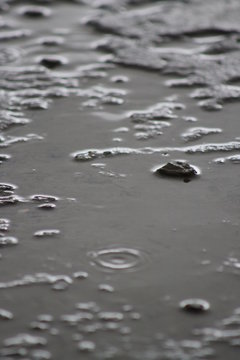water arter rain