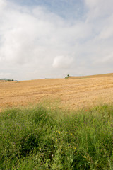 Fototapeta premium Camino de Santiago as it passes through Navarra
