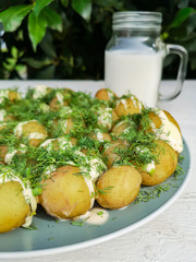 new potatoes with dill