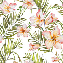 Exotic plumeria flowers and green palm leaves in seamless tropical pattern. White background, pastel shades. Watercolor painting. Hand painted floral illustration. - 211681371