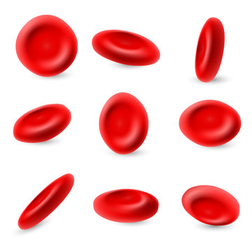 Human Erythrocyte, 3d Microscopic Red Blood Cells Vector Set Isolated On White Background