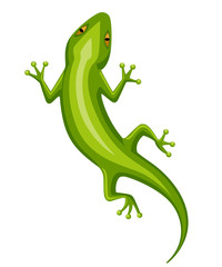Cartoon gecko character. Small green lizard. Gecko logo design, flat icon. Vector illustration isolated on white background