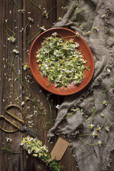 Close-up photo of camomile on wooden bowl on canvas. Top view on vintage wood background