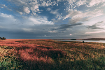 Sky over the marsh