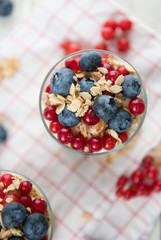 Vanilla Yoghurt Parfait Served with Fresh Blueberries and Red Currants