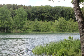 Freilinger See, Blankenheim, Eifel, Germany 3