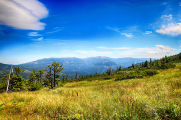 Ski slope Medvedin in Giant Mountains in Czech republic is beuatiful in suumer. There is amazing view.