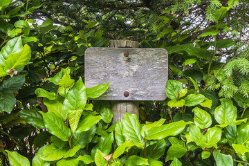 Blank Old wooden signpost surrounded by vegetation. Mockup and ad concept.