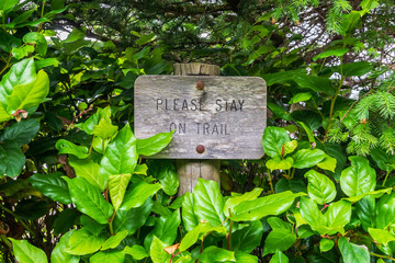 Old wooden signpost surrounded by vegetation with the carved text 