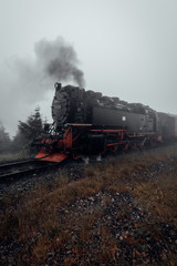 Fototapeta na wymiar Die Brockenbahn fährt durch den Harz bei trüben Wetter