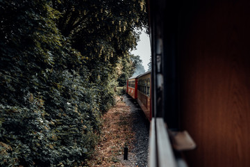 Eine Zugfahrt in Richtung Brocken durch den Wald mit Blick auf die Wagons