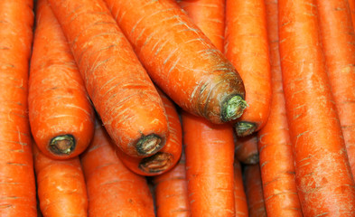 Carrots in group.