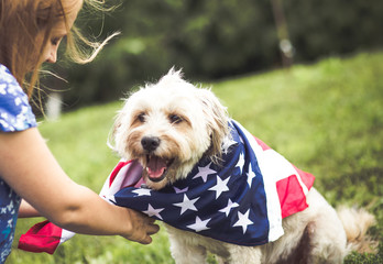 Dog with american flag bandana