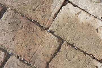 Obraz premium Red bricks over the floor