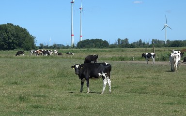 Panorama krajobrazu © Iwona