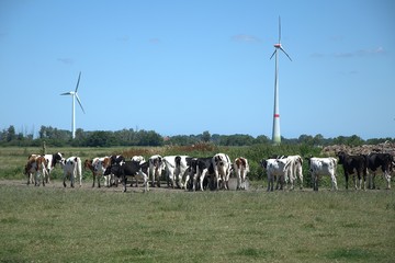 Panorama krajobrazu © Iwona