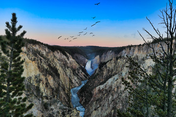 The lower Falls in the Grand Canyon of Yellowstone National Park in Wyoming is beautiful at sunrise from Artists Point.