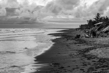 Washaway Beach, North Cove, Washington, 2018