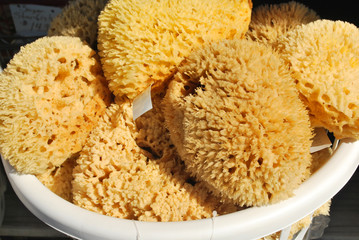 Sponges 
The industry is now gone but the sponges are still on sale for the tourists