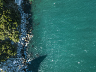 aerial top down view of the summer sea coast copy space water