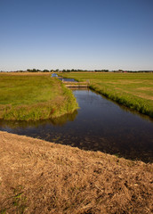 Image of canals and farms in the sunny day in South Holland