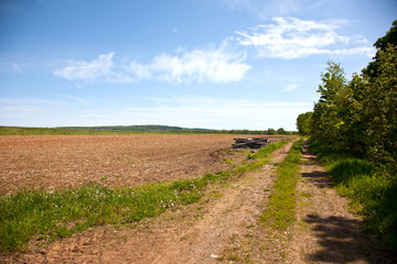 Fototapeta na wymiar Dirt road in field