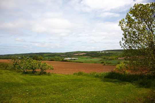 Orchard, valley and mountain
