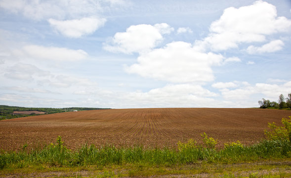 Long rows of field