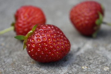 ripe red strawberries on a gray background