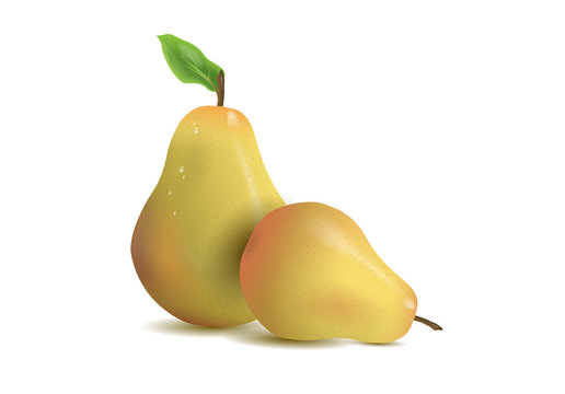 Realistic illustration pears isolated on white background