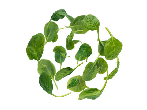 Flying spinach leaves spherical form heap