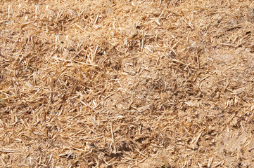 Talaş, yonga, odun parçaları