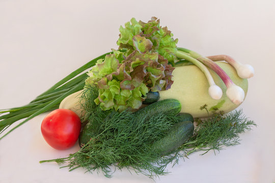 Fresh vegetables for salad