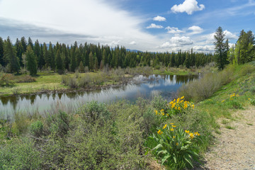 A reflecting pond in Grand Tetons National Park