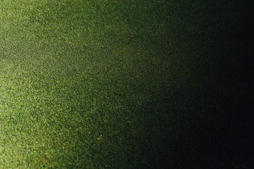 green grass background with black shadow