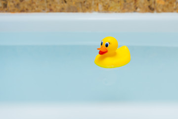 yellow rubber duck in blue water of bathtub