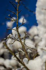 Cold winter day