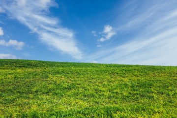 Naklejka premium green grass and blue sky nature background