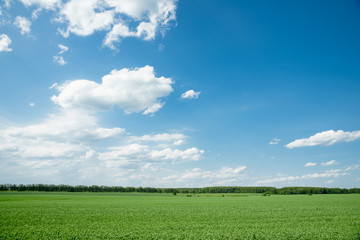 a picturesque view of the green field