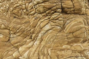 Closeup of the surface of the sandstone cliff face at Duvauchelle on the Banks Peninsula, Canterbury, New Zealand. The surface is coloured and textured.