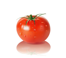 Tomato with drops isolated on white background. Realistic vector illustrations