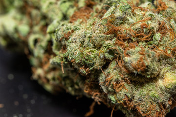 macro picture of cannabis with black backdrop