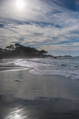 Carmel By the Sea